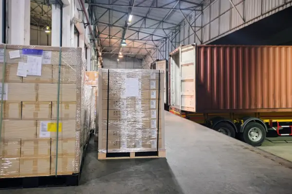 Seemleius Mobility and Cargo LLC