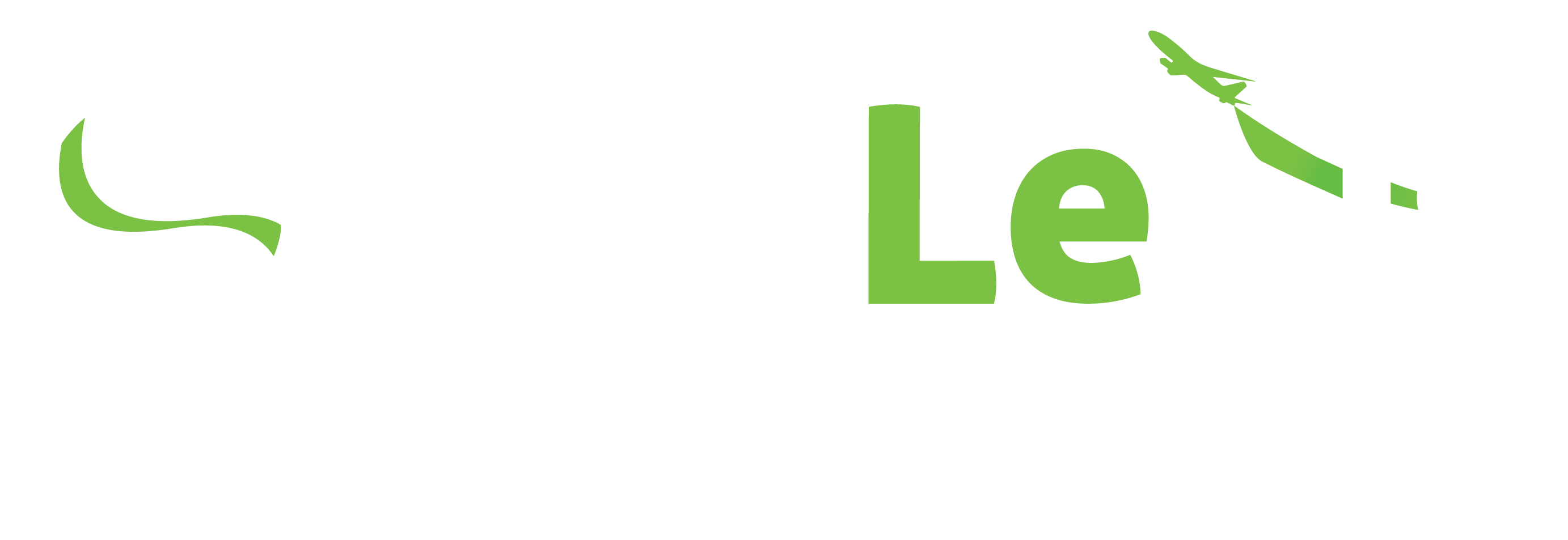  Seemleius Mobility and Cargo LLC